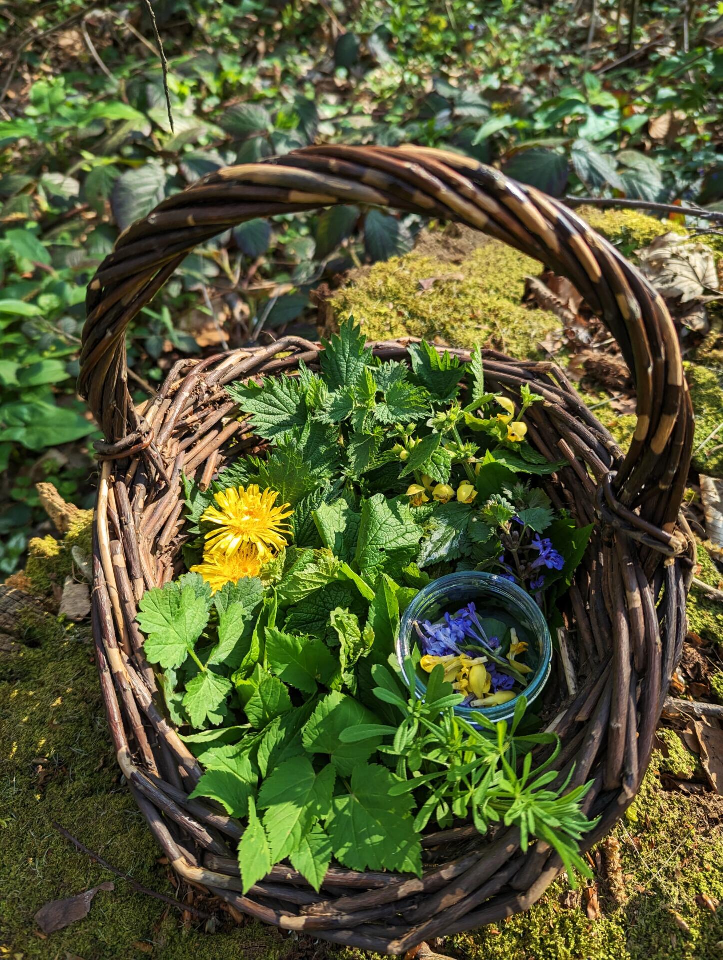 Ein Weidenkorb voller Wildkräuter und Blüten