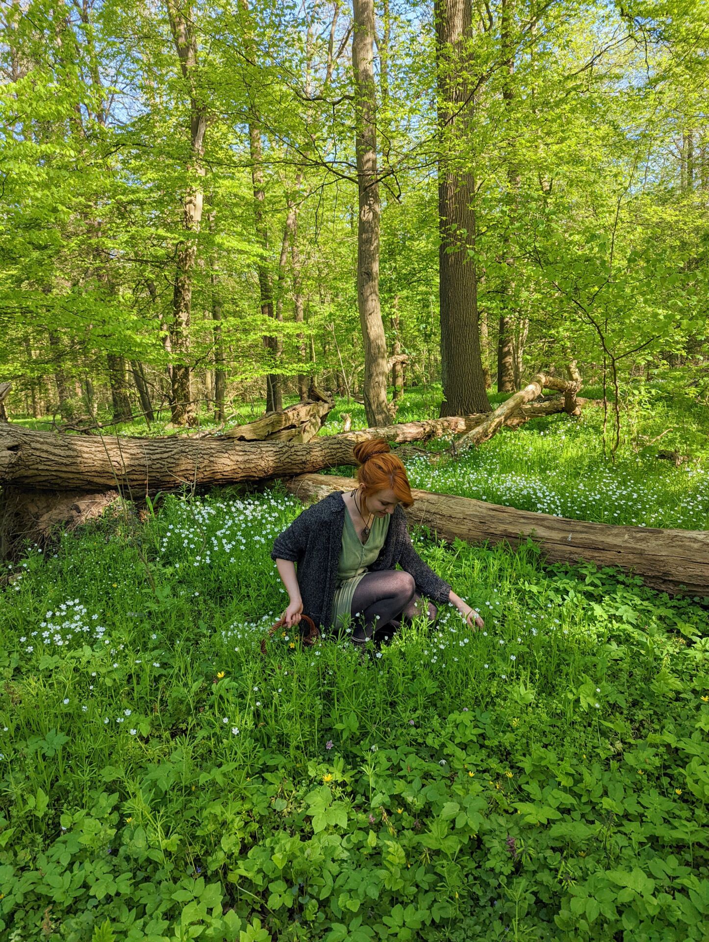 Maddi im Wald