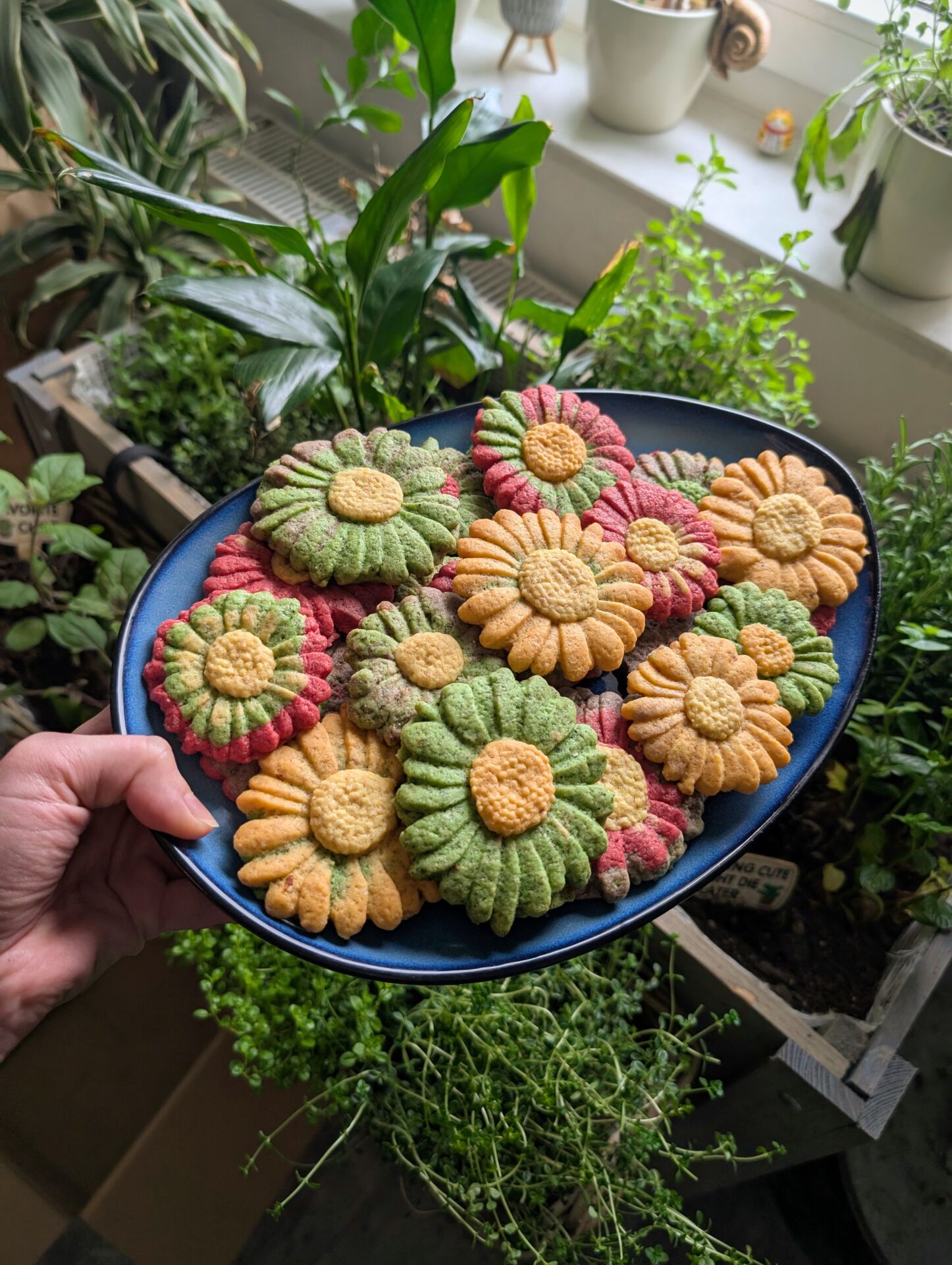 Gebackene Kekse in Blumenform