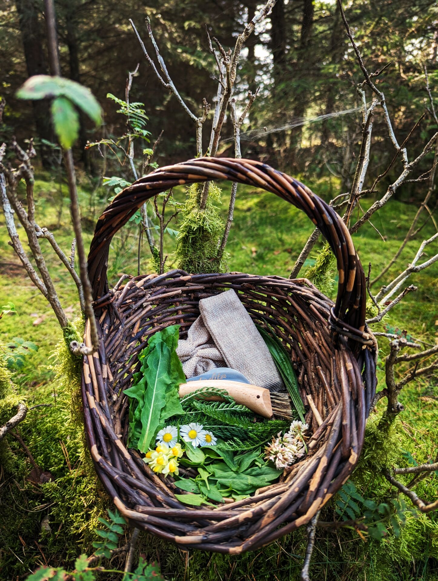 Körbchen mit Wildkräutern