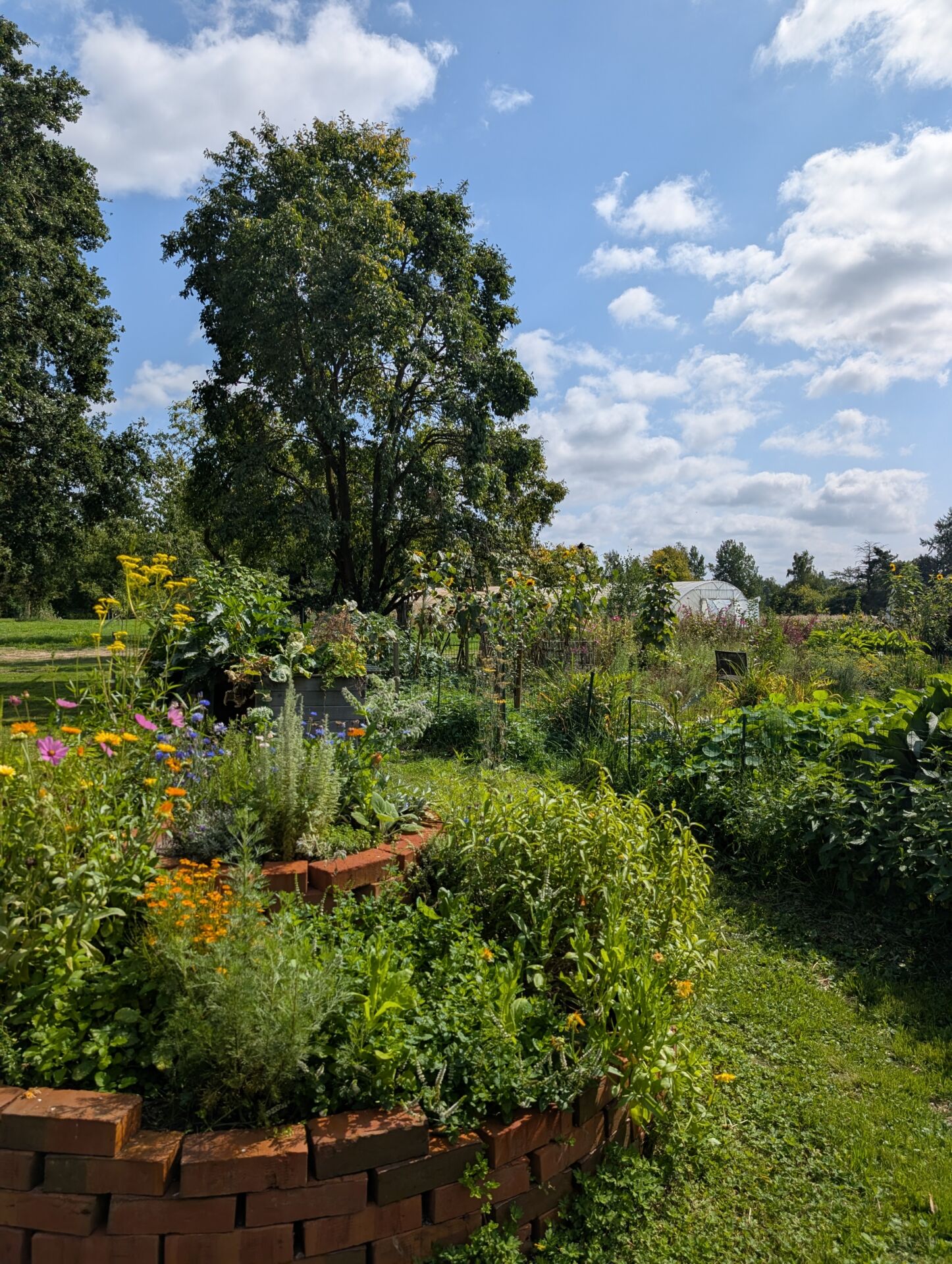 Kräuterschnecke auf dem Hof am Moore