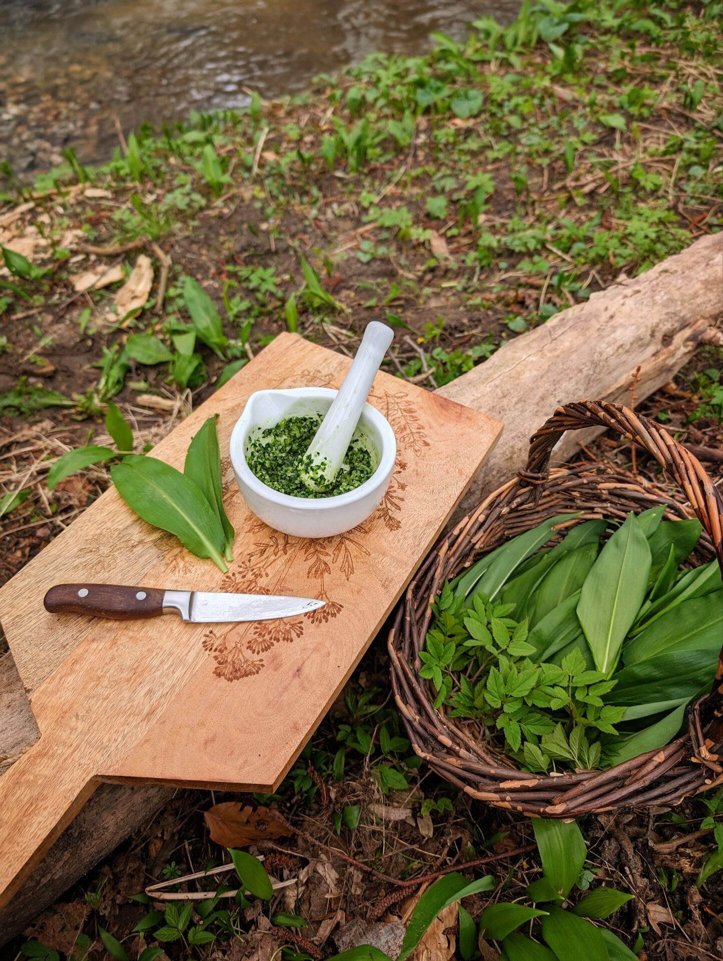 Frisches Bärlauchsalz am Fluss
